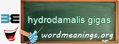 WordMeaning blackboard for hydrodamalis gigas